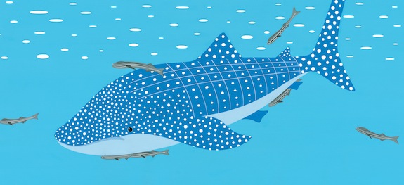 fishes whale shark