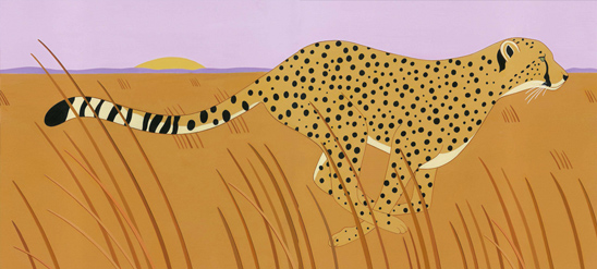 spectacular spots cheetah